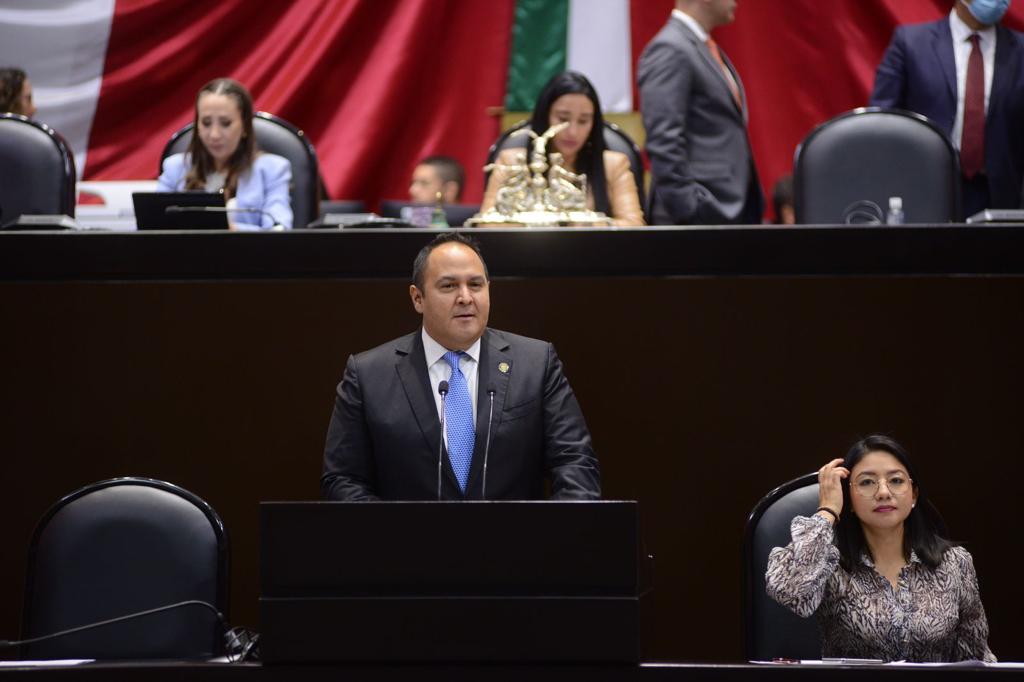 diputado verde ecologista