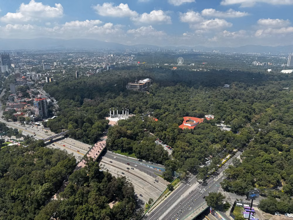 Sendero arbolado en un gran parque urbano, imagen ilustrativa para una guía de caminata por Chapultepec; no señala una sección concreta.