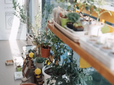 Balcón urbano con varias macetas de plantas verdes y hierbas comestibles junto a una ventana.