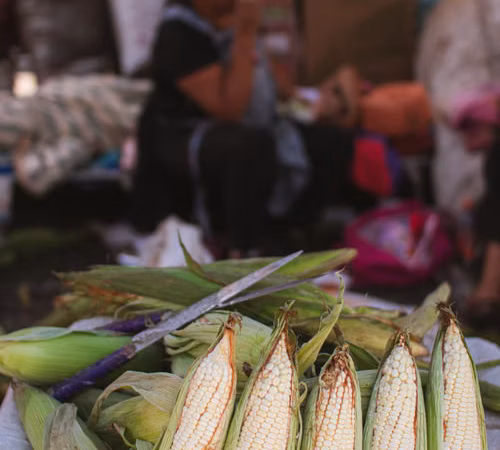 Ingredientes verdes dispuestos para cocinar en una cocina; imagen editorial sobre productos de temporada.